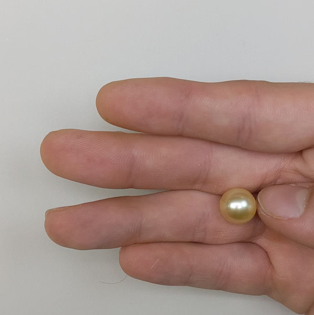 Single Button 11 mm pearl, Flawless Complexion, AAA/AA Lustre, Yellow ...